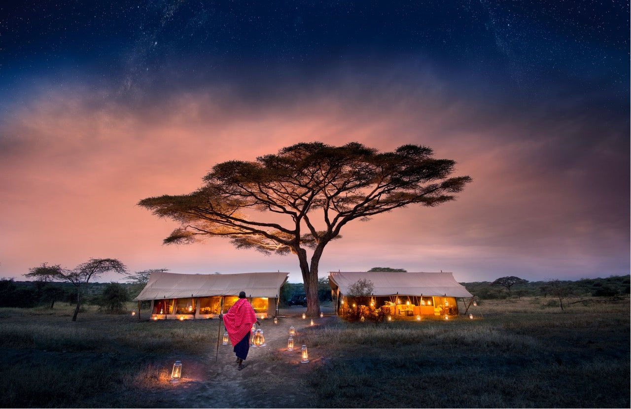 Kenyan Tened Safari Expeditions