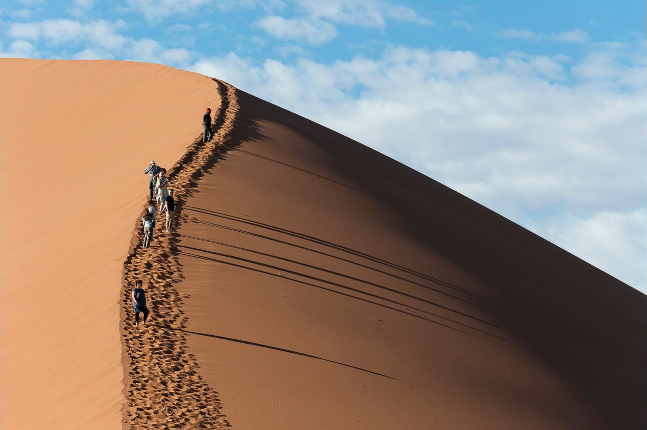 Namibia Safari