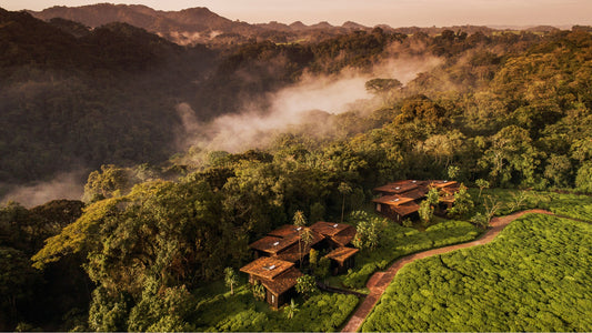 Tanzania Private Luxury Safari